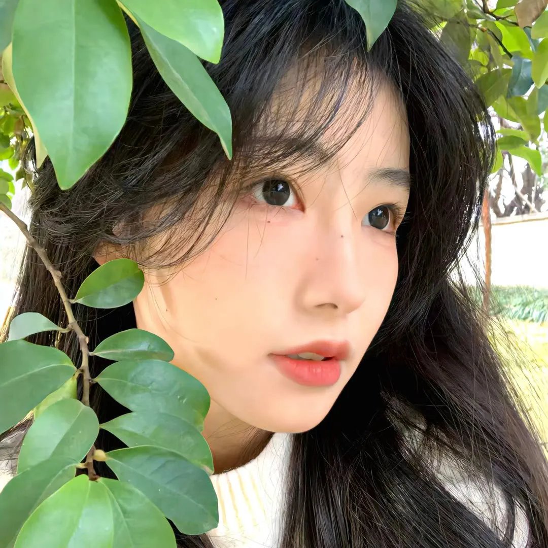 马兰花